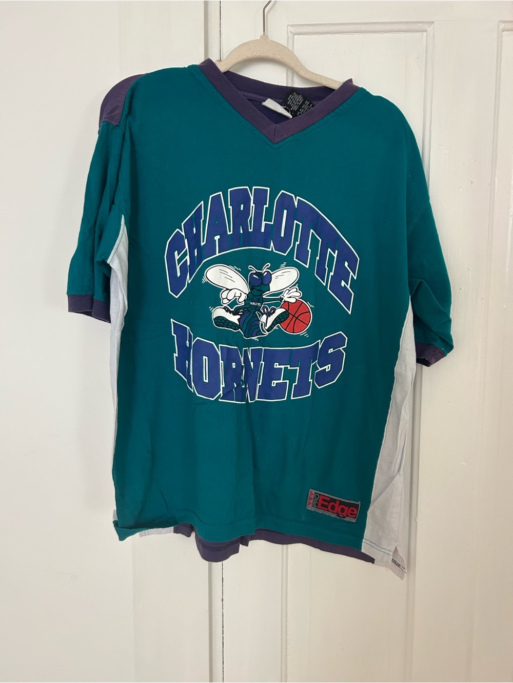 Pro Edge Charlotte Hornets Teal & Purple Kids Basketball Jersey